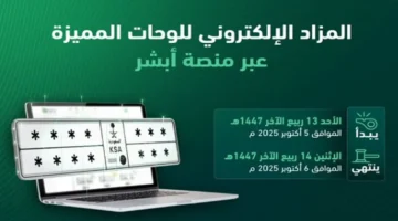 مزاد اللوحات الإلكتروني غدًا: كيف تحصل على لوحة سيارة أحلامك من المرور